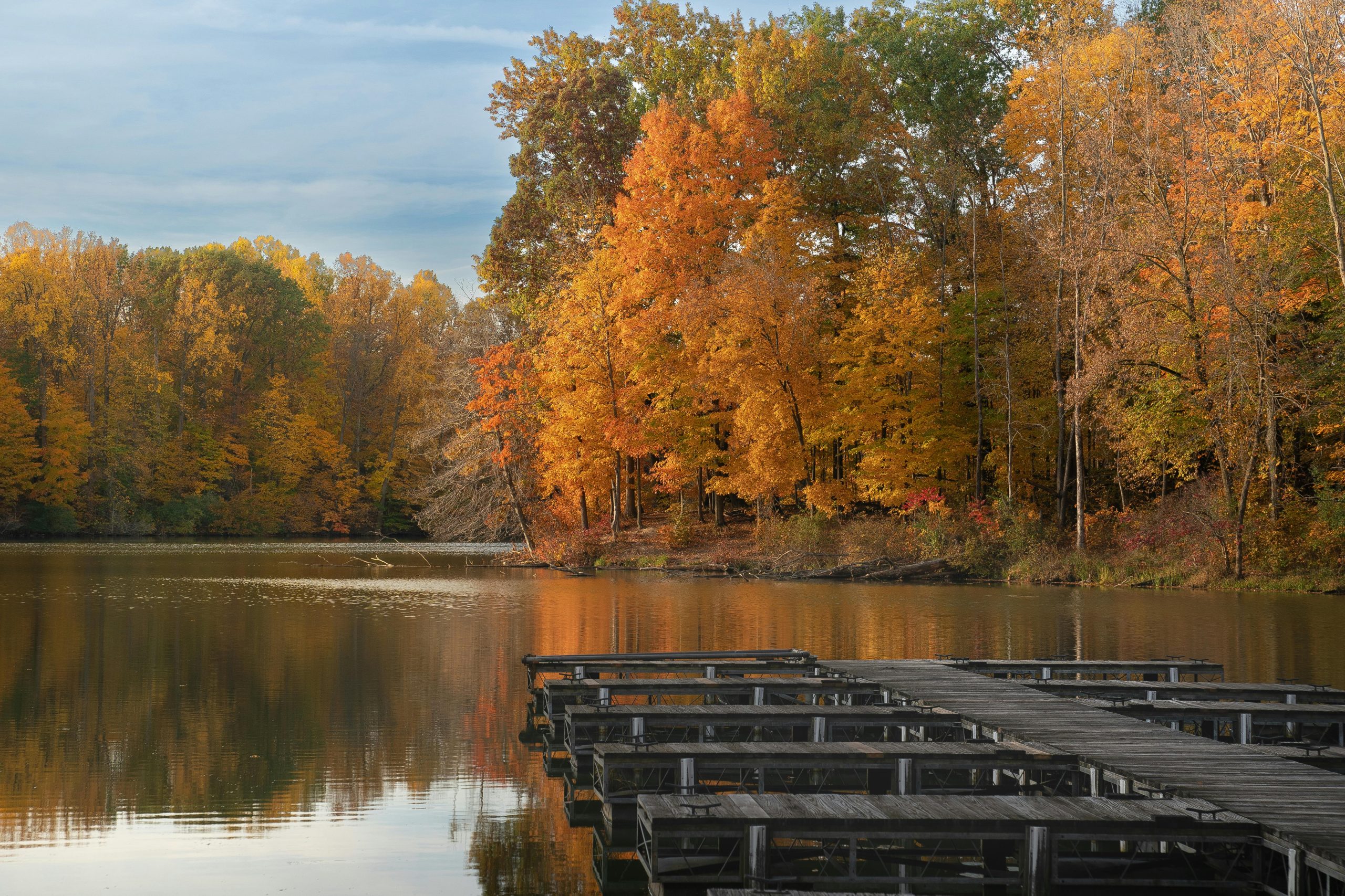 pexels-glenda-thompson-47135804-29738083 A lake with docks surrounded by autumn trees.