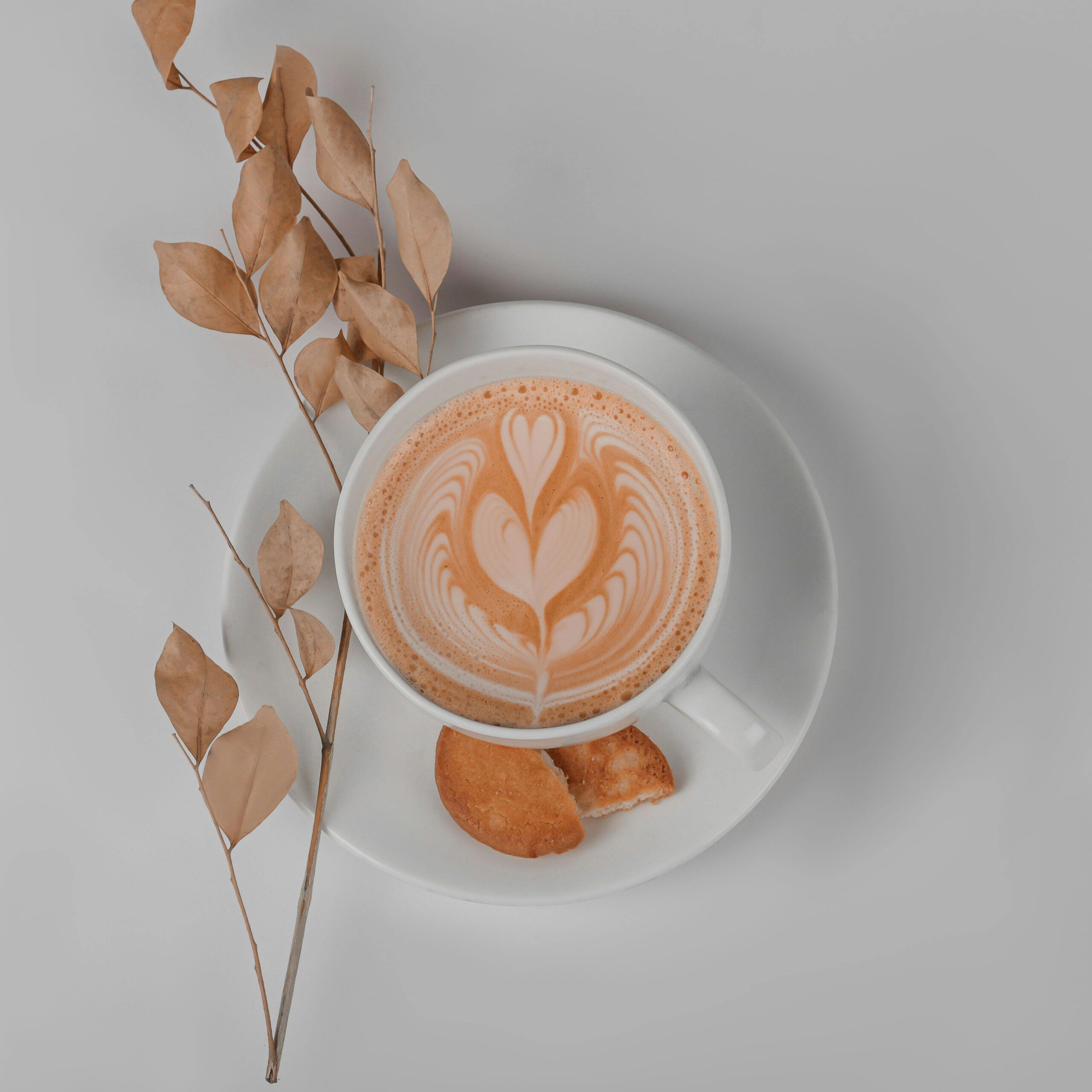 Latte on a plate with dried leaves, symbolizing starting out.