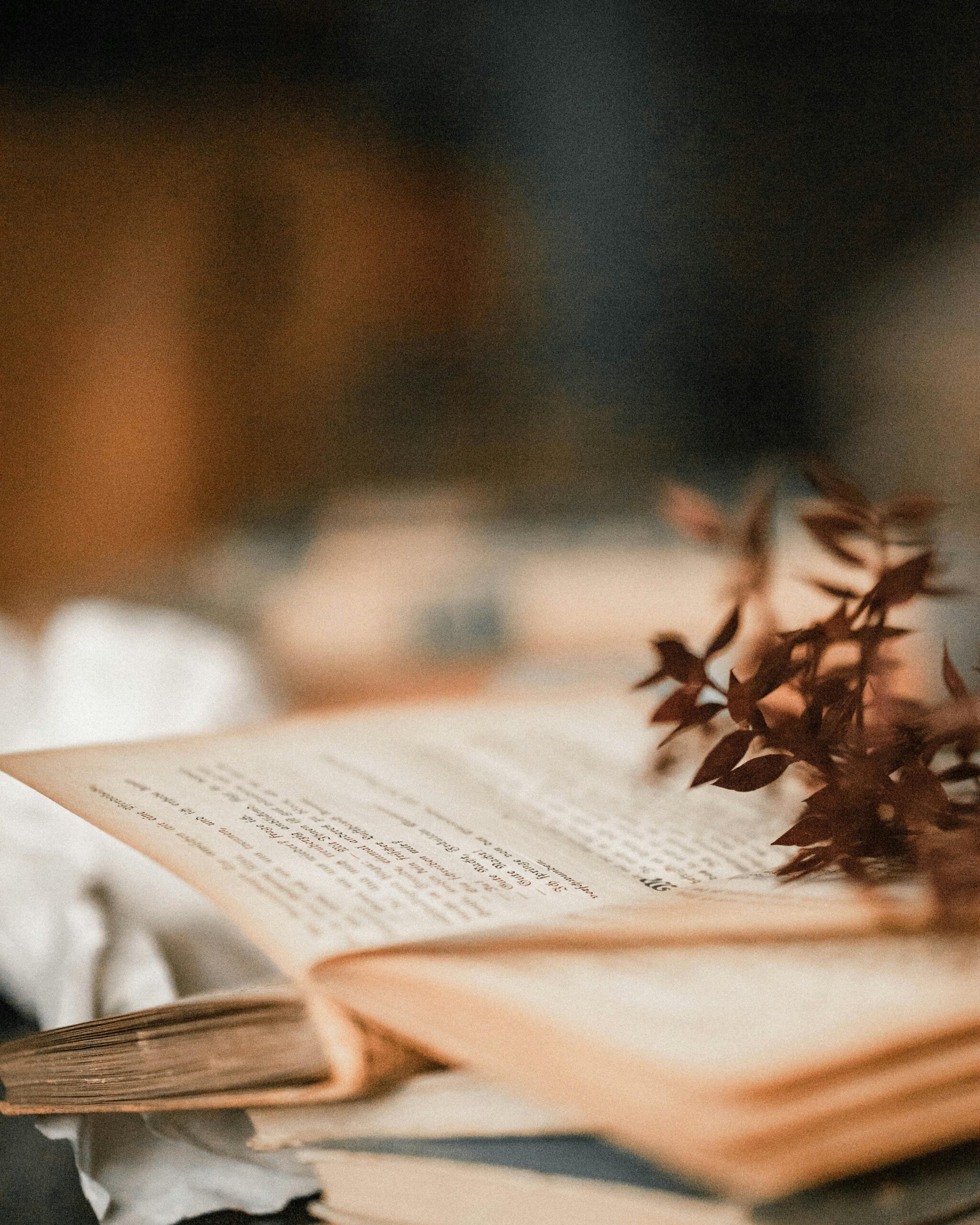 Open book with dried leaves on pages, symbolizing research, strategy, and thoughtful storytelling for grant writing.